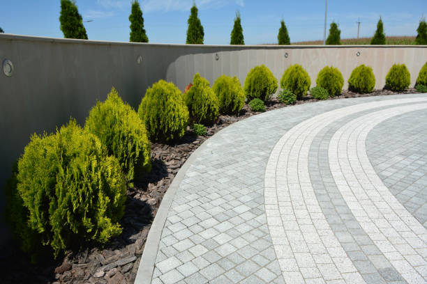 Best Driveway Paving Near Me  in Sauk City, WI